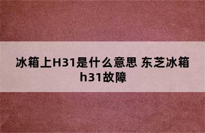 冰箱上H31是什么意思 东芝冰箱h31故障